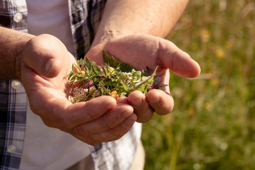 Restaurant Wachter Foodbar - Über mich -  Dominik Wachter Über mich - Dominik Wachter